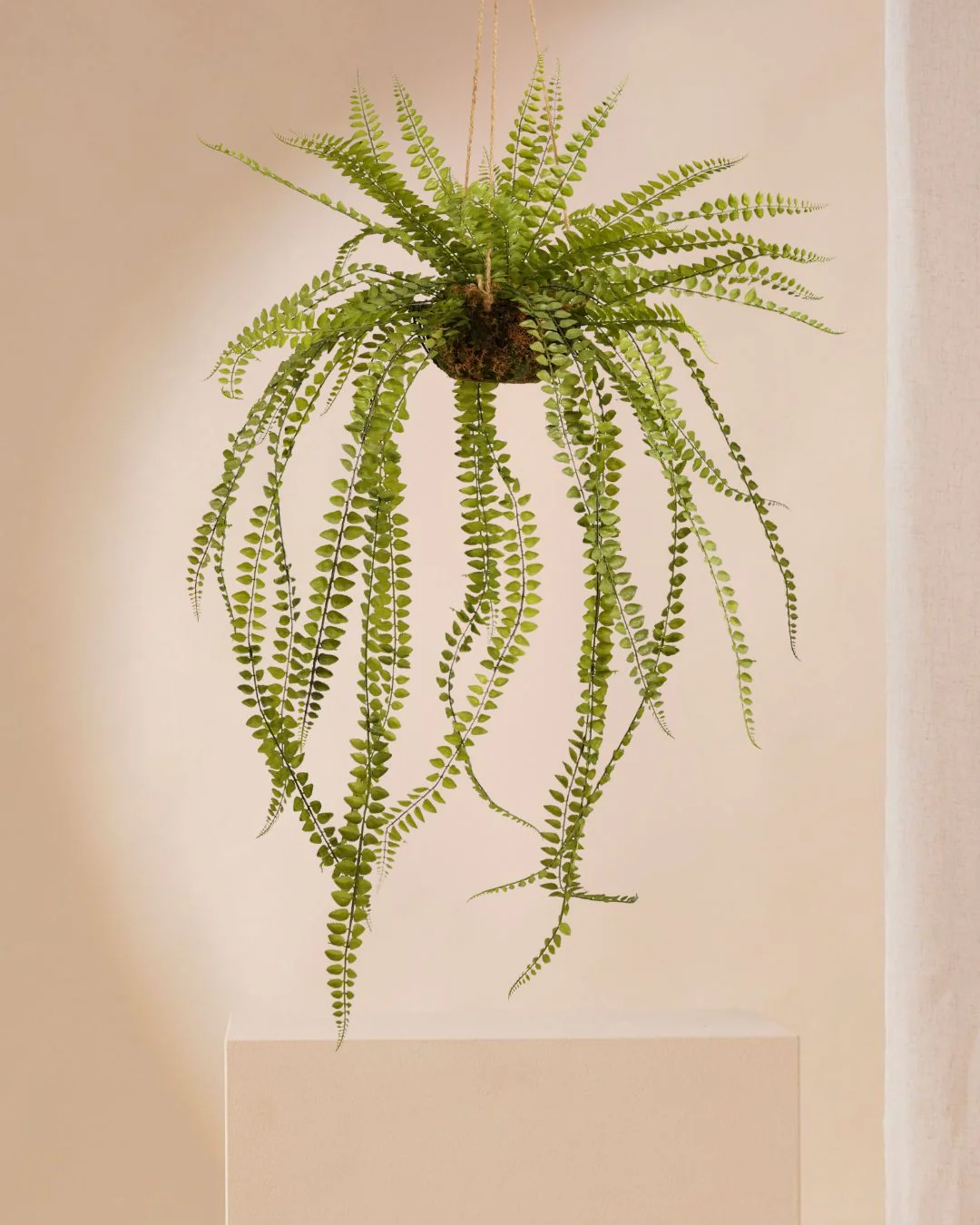 Grote kunstplanten