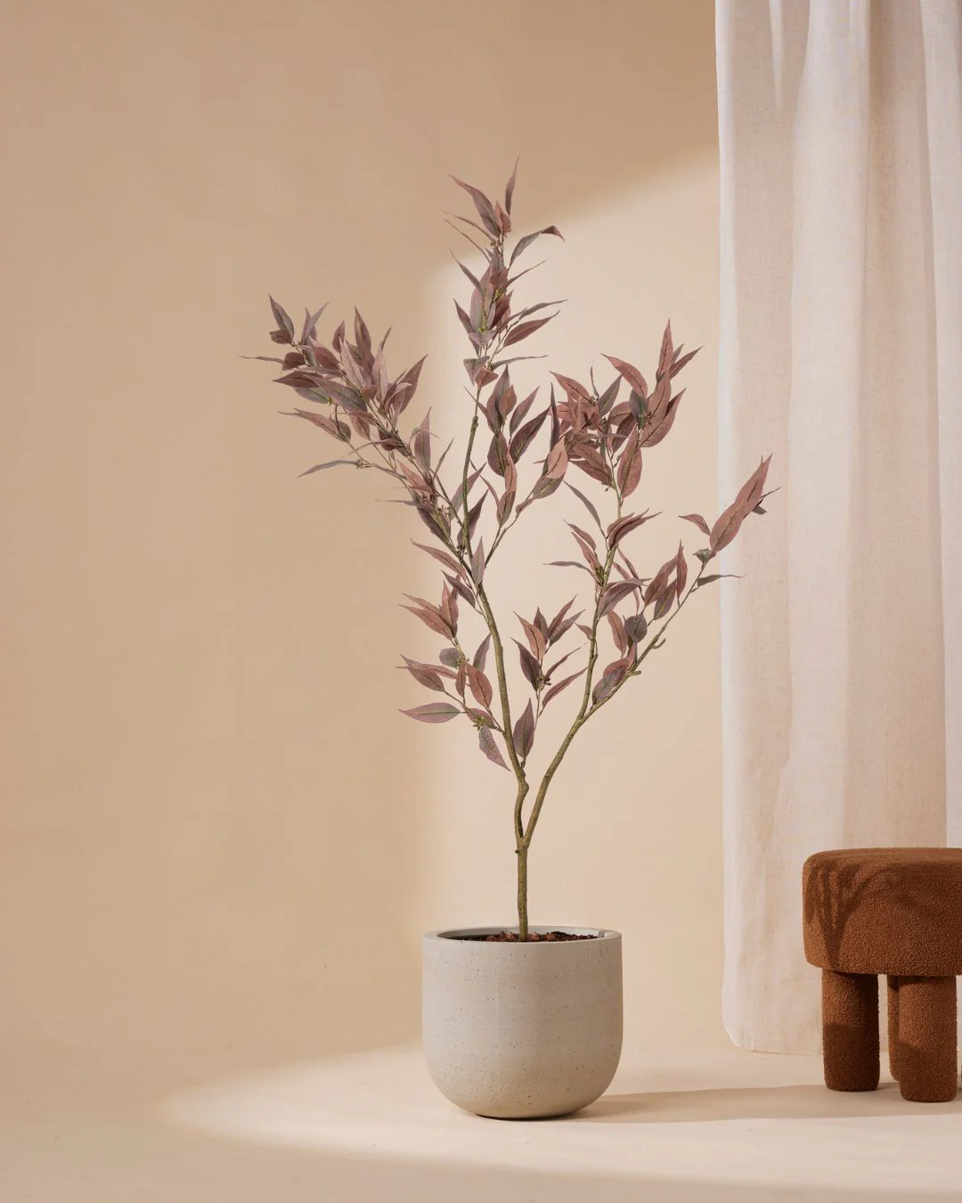 Miniatuur 1