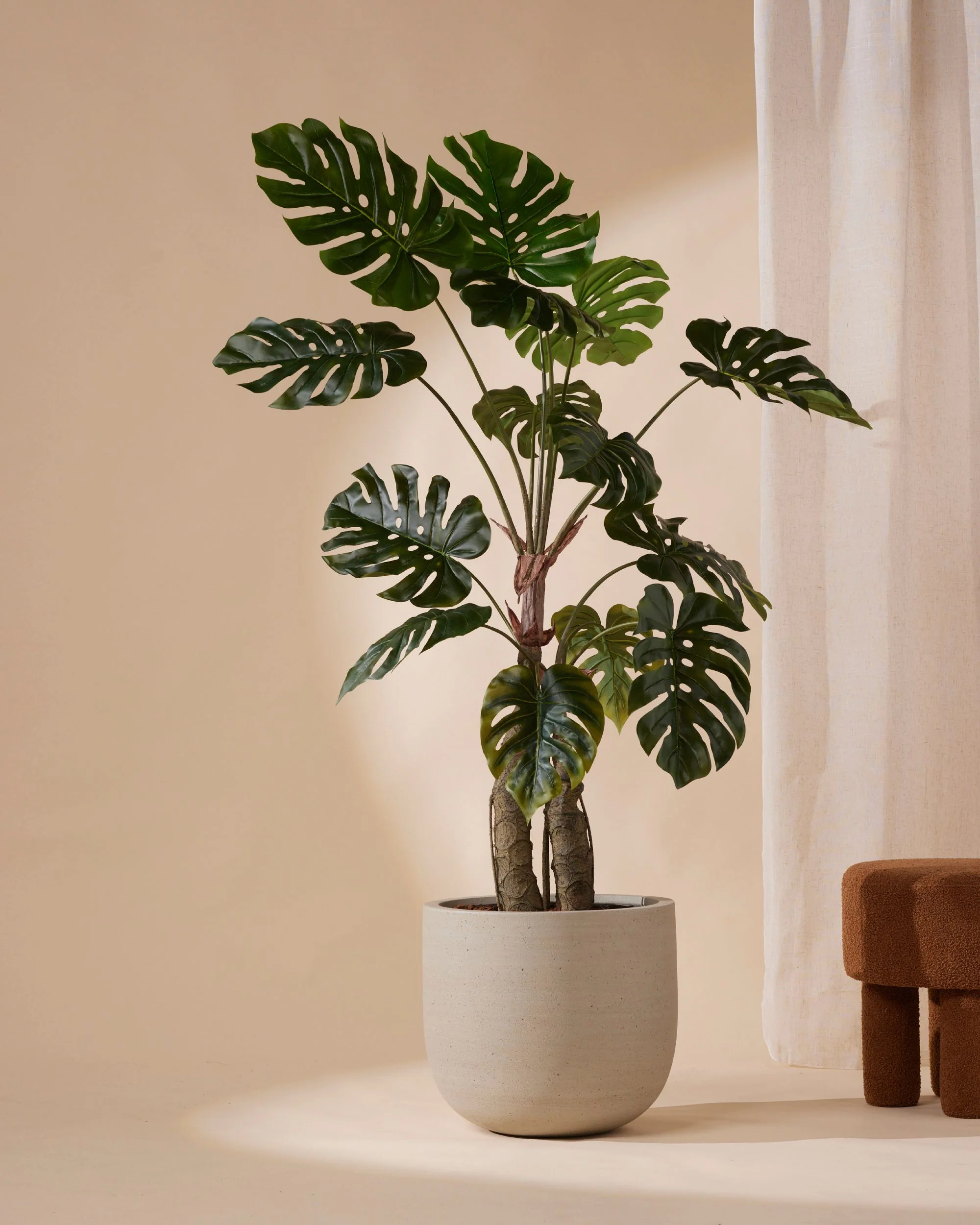 Miniatuur 1