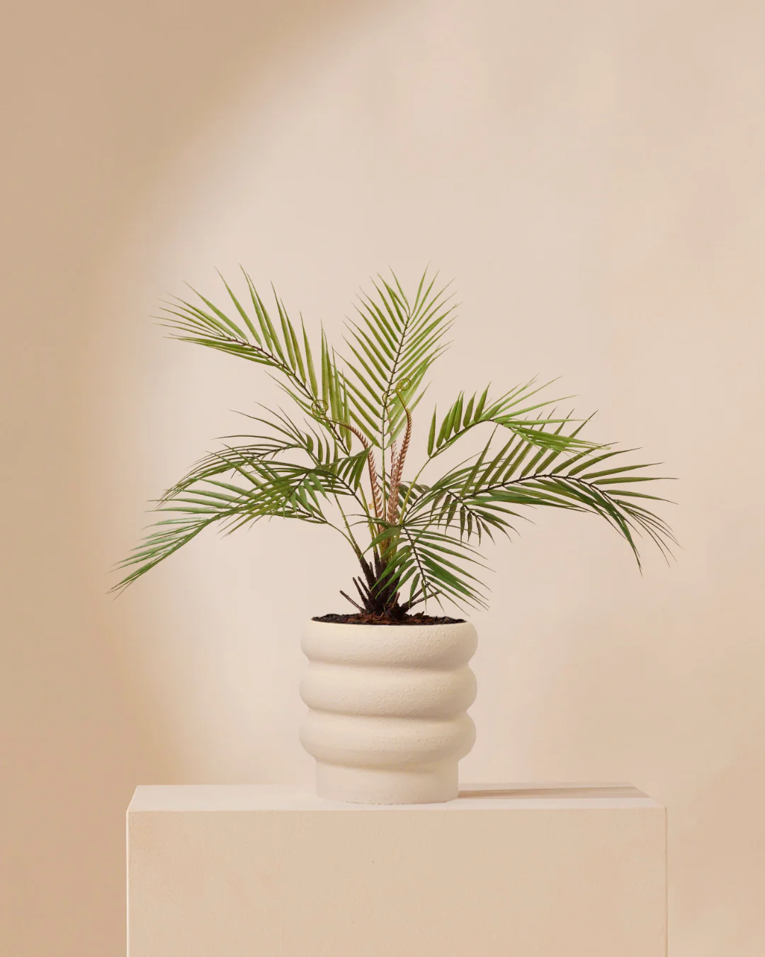 Miniatuur 1