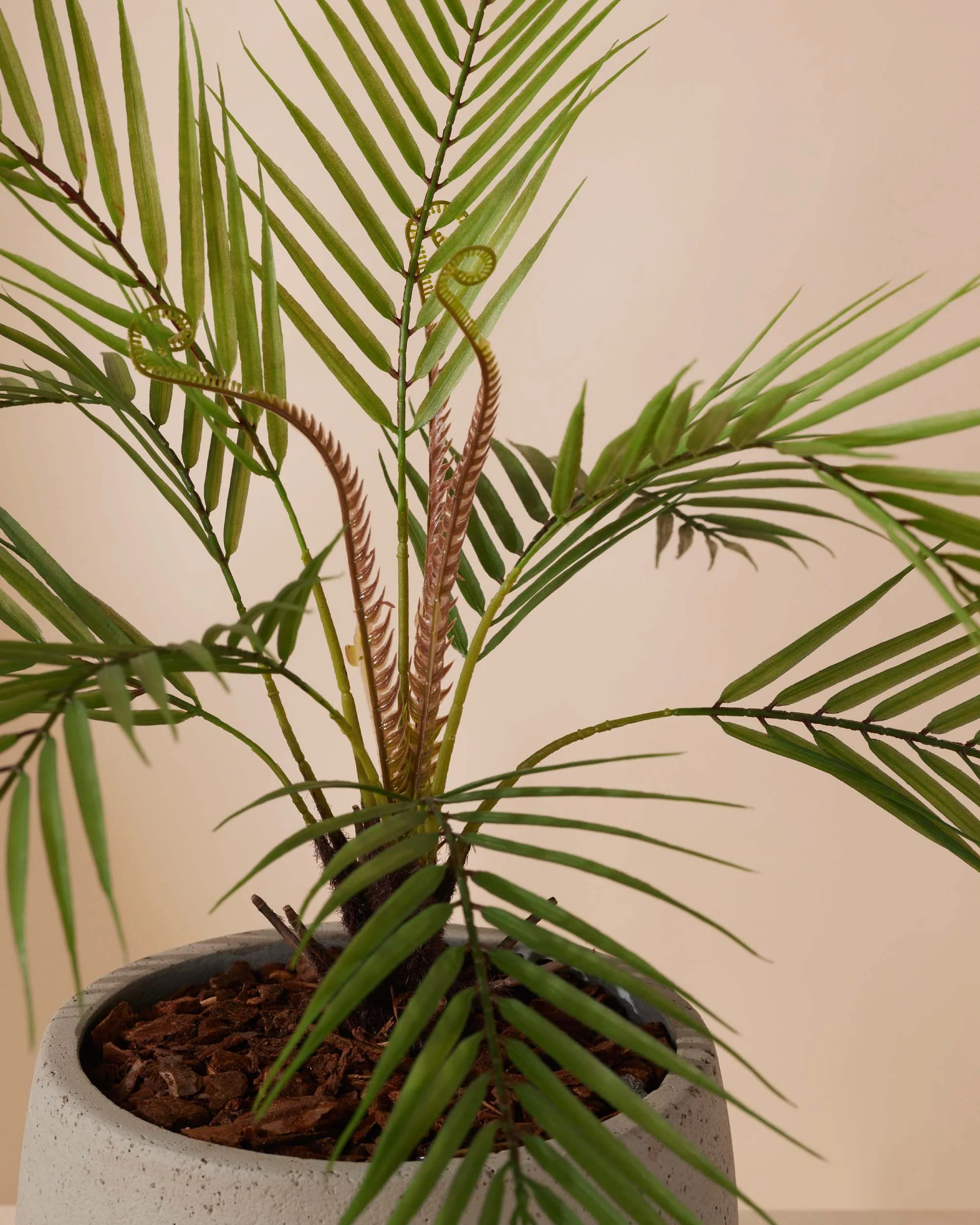 Miniatuur 2