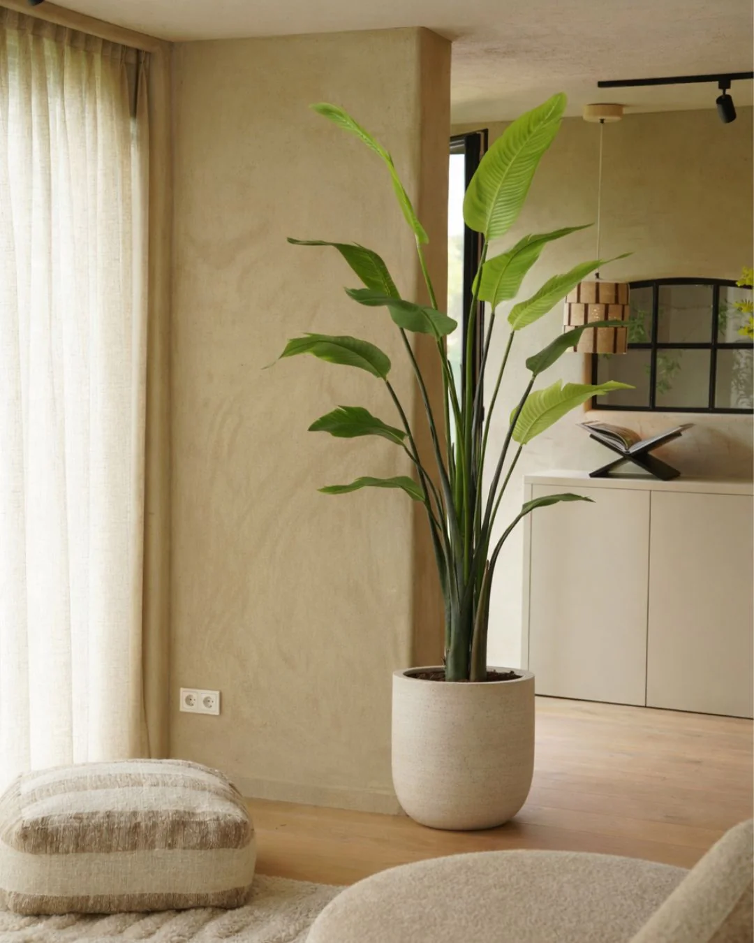 Miniatuur 2